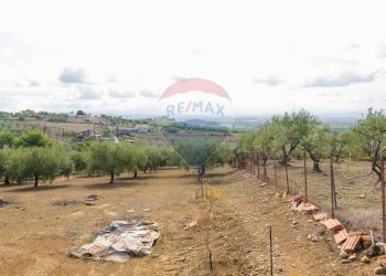 Giardino - Terreno agricolo Contrada camolio
snc, Motta Sant'Anastasia - foto 17