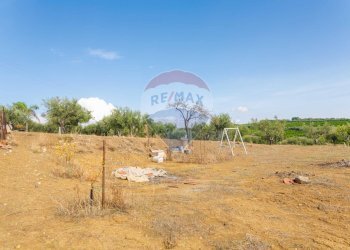 Giardino - Terreno agricolo Contrada camolio
snc, Motta Sant'Anastasia - foto 19