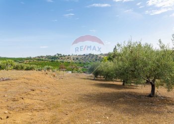 Giardino - Terreno agricolo Contrada camolio
snc, Motta Sant'Anastasia - foto 20