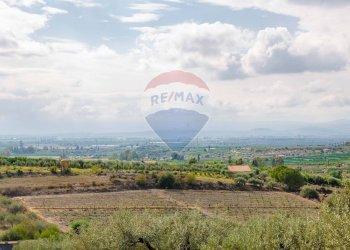 Vista delle montagne - Terreno agricolo Contrada camolio
snc, Motta Sant'Anastasia - foto 24