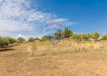 Giardino - Terreno agricolo Contrada camolio
snc, Motta Sant'Anastasia - foto 26