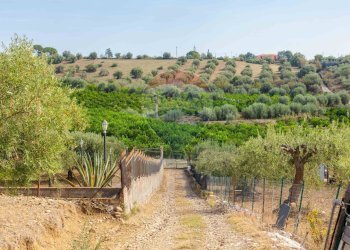 Vista delle montagne - Terreno agricolo Contrada camolio
snc, Motta Sant'Anastasia - foto 32