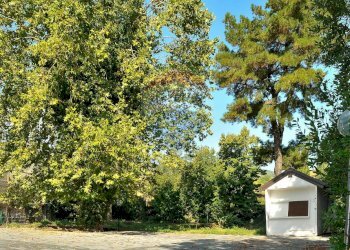 Giardino - Stabile - Palazzo Via Paracquara
1-2-3, Zafferana Etnea - foto 19