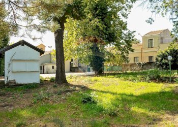 Giardino - Stabile - Palazzo Via Paracquara
1-2-3, Zafferana Etnea - foto 20