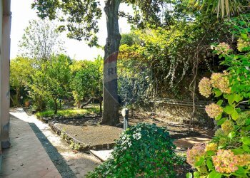 Giardino - Stabile - Palazzo Via Paracquara
1-2-3, Zafferana Etnea - foto 38