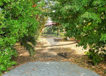 Giardino - Stabile - Palazzo Via Paracquara
1-2-3, Zafferana Etnea - foto 53