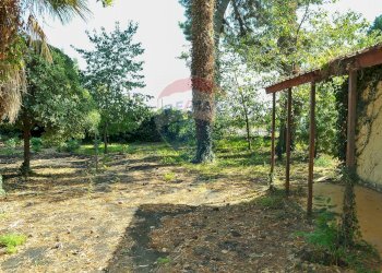 Giardino - Stabile - Palazzo Via Paracquara
1-2-3, Zafferana Etnea - foto 56