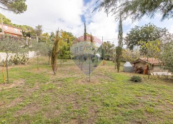 Giardino - Villa C/da Cannarozzo
 
s.n., Piazza Armerina - foto 15