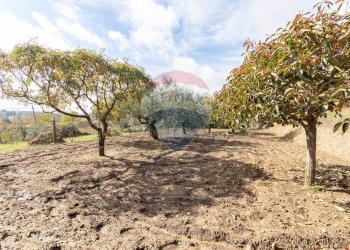 Giardino - Villa C/da Cannarozzo
 
s.n., Piazza Armerina - foto 25
