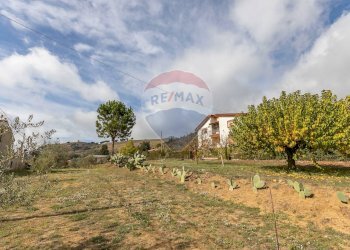 Giardino - Villa C/da Cannarozzo
 
s.n., Piazza Armerina - foto 29