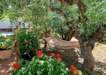 Giardino - Villa C/da Cannarozzo
 
s.n., Piazza Armerina - foto 39