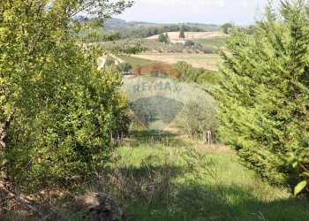 Vista delle montagne - Casa indipendente Via Tortori
 
1, Montespertoli - foto 45