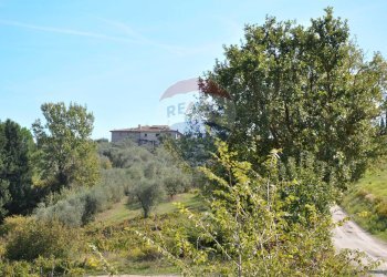Non correlato - Casa indipendente Via Tortori
 
1, Montespertoli - foto 50