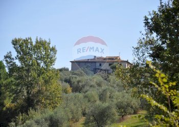 Giardino - Casa indipendente Via Tortori
 
1, Montespertoli - foto 51