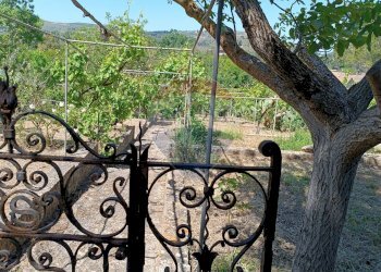 Giardino - Villa S.S. 561 C.da Lago - Parasporino
 
snc, Enna - foto 6