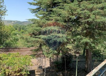 Giardino - Villa S.S. 561 C.da Lago - Parasporino
 
snc, Enna - foto 11