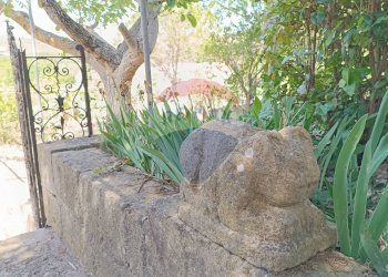 Dettagli - Villa S.S. 561 C.da Lago - Parasporino
 
snc, Enna - foto 12