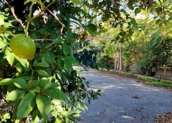 Giardino - Bilocale Via Piccolo Torrente Pagliara
 
16-18, Roccalumera - foto 32