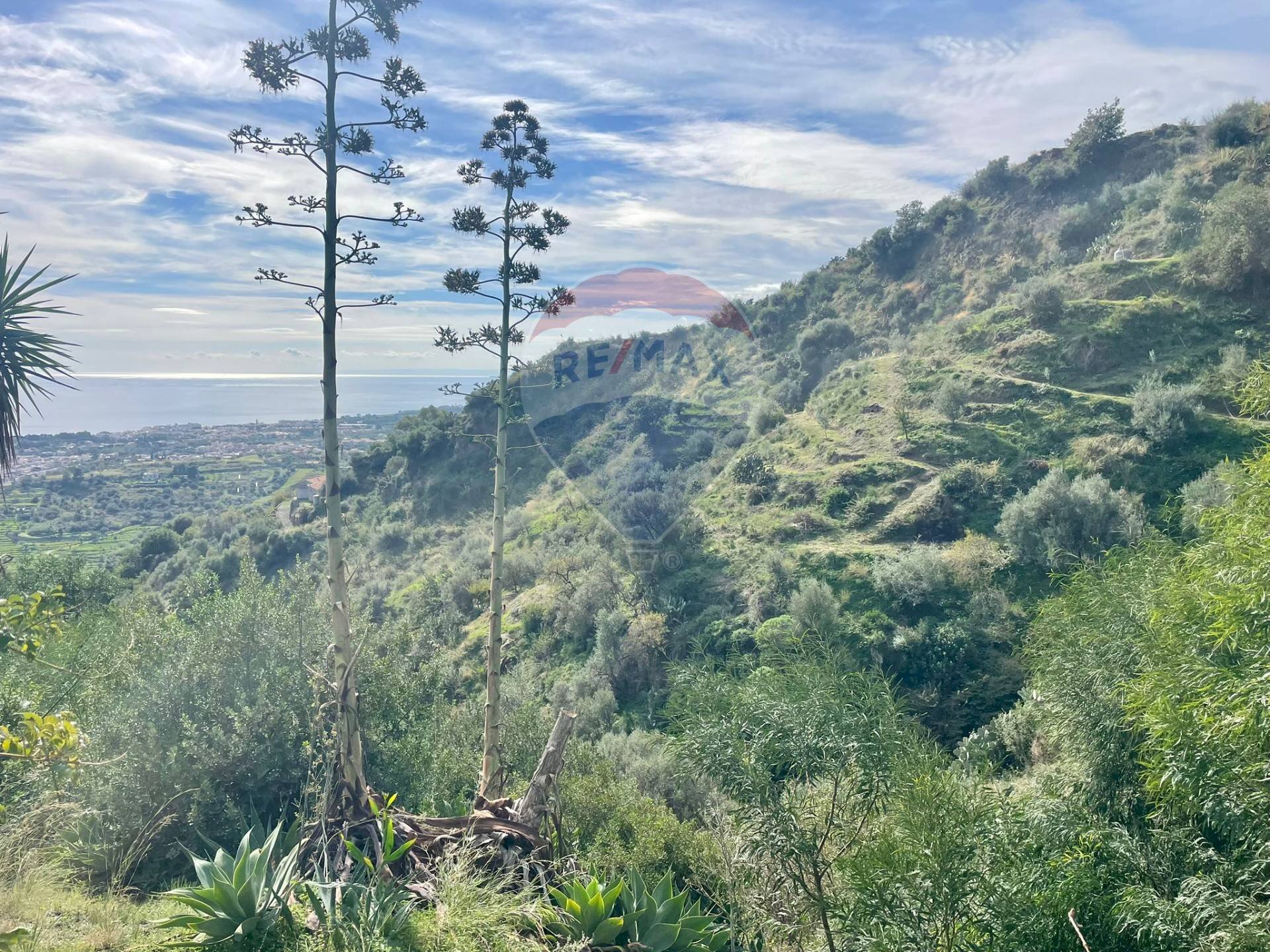 Vista delle montagne - Casa indipendente contrada mastrissa
s.n, Taormina - foto 2