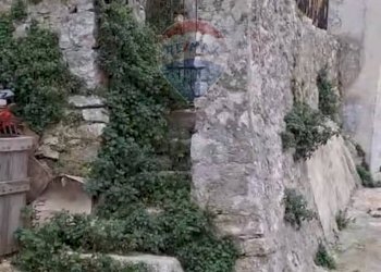 Giardino - Rustico via Cilenti 10/via Riccitelli 26, Vico del Gargano - foto 6