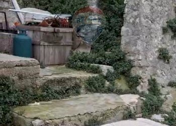 Giardino - Rustico via Cilenti 10/via Riccitelli 26, Vico del Gargano - foto 7