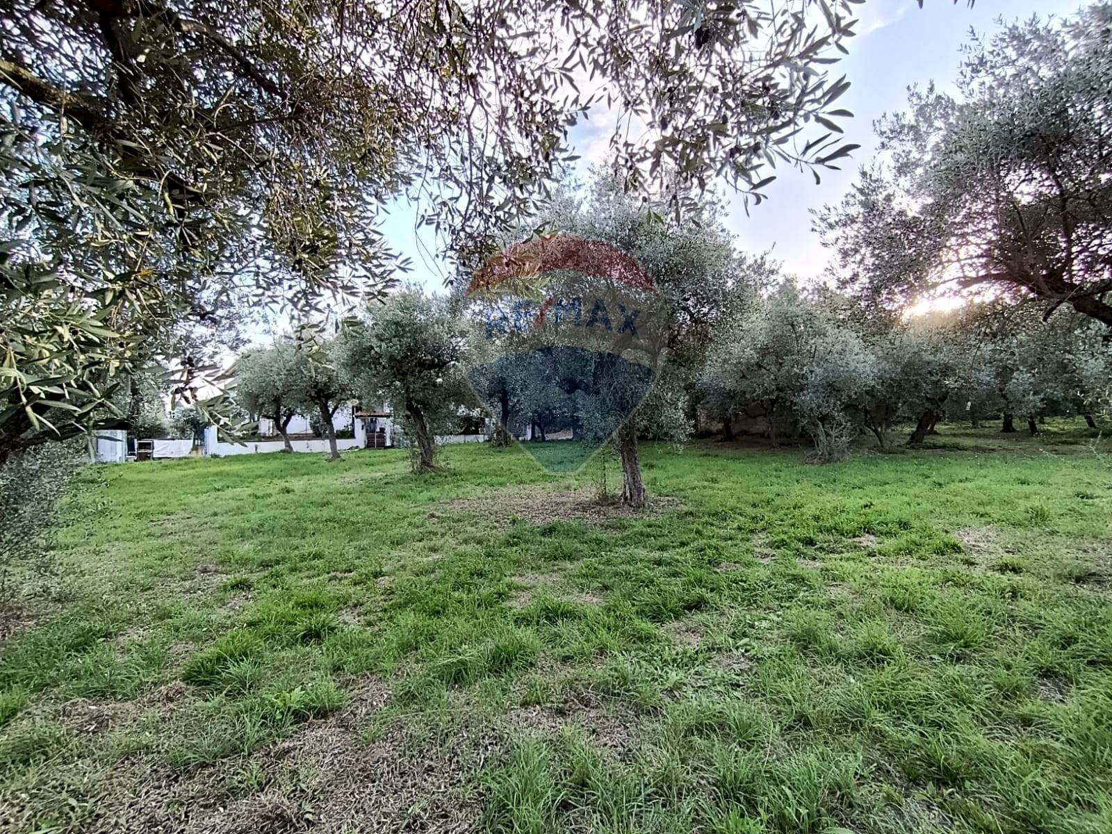 Giardino - Terreno edificabile Via Bologna, Lanciano - foto 2