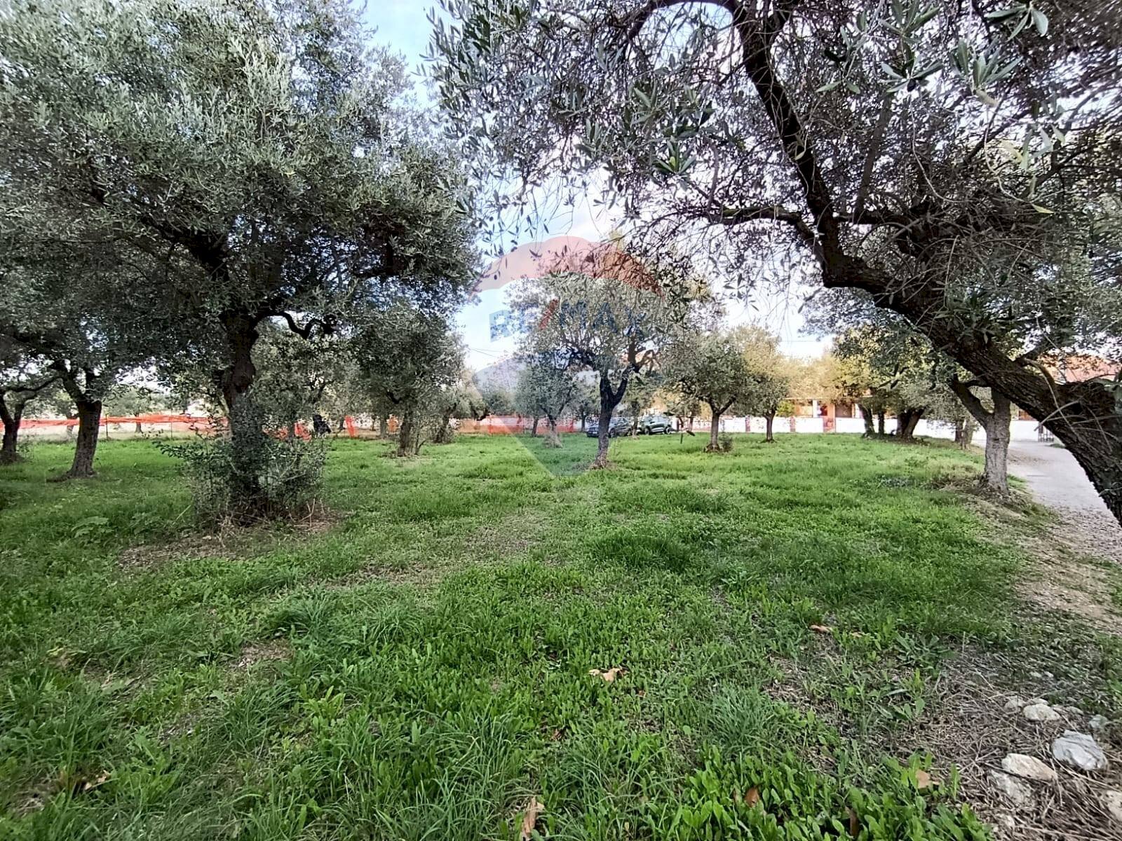 Giardino - Terreno edificabile Via Bologna, Lanciano - foto 3