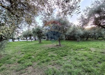 Giardino - Terreno edificabile Via Bologna, Lanciano - foto 2