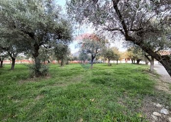 Giardino - Terreno edificabile Via Bologna, Lanciano - foto 3