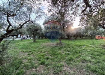 Giardino - Terreno edificabile Via Bologna, Lanciano - foto 4