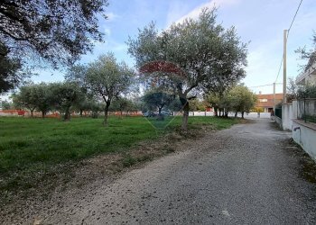 Giardino - Terreno edificabile Via Bologna, Lanciano - foto 5