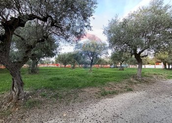 Giardino - Terreno edificabile Via Bologna, Lanciano - foto 6