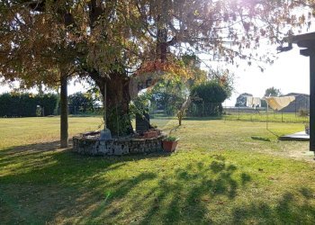 Giardino - Villa Via Mantova
 
300, Vigarano Mainarda - foto 1