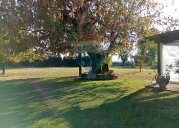 Giardino - Villa Via Mantova
 
300, Vigarano Mainarda - foto 4