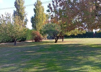 Giardino - Villa Via Mantova
 
300, Vigarano Mainarda - foto 6