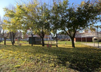 Giardino - Quadrilocale Merate - foto 23