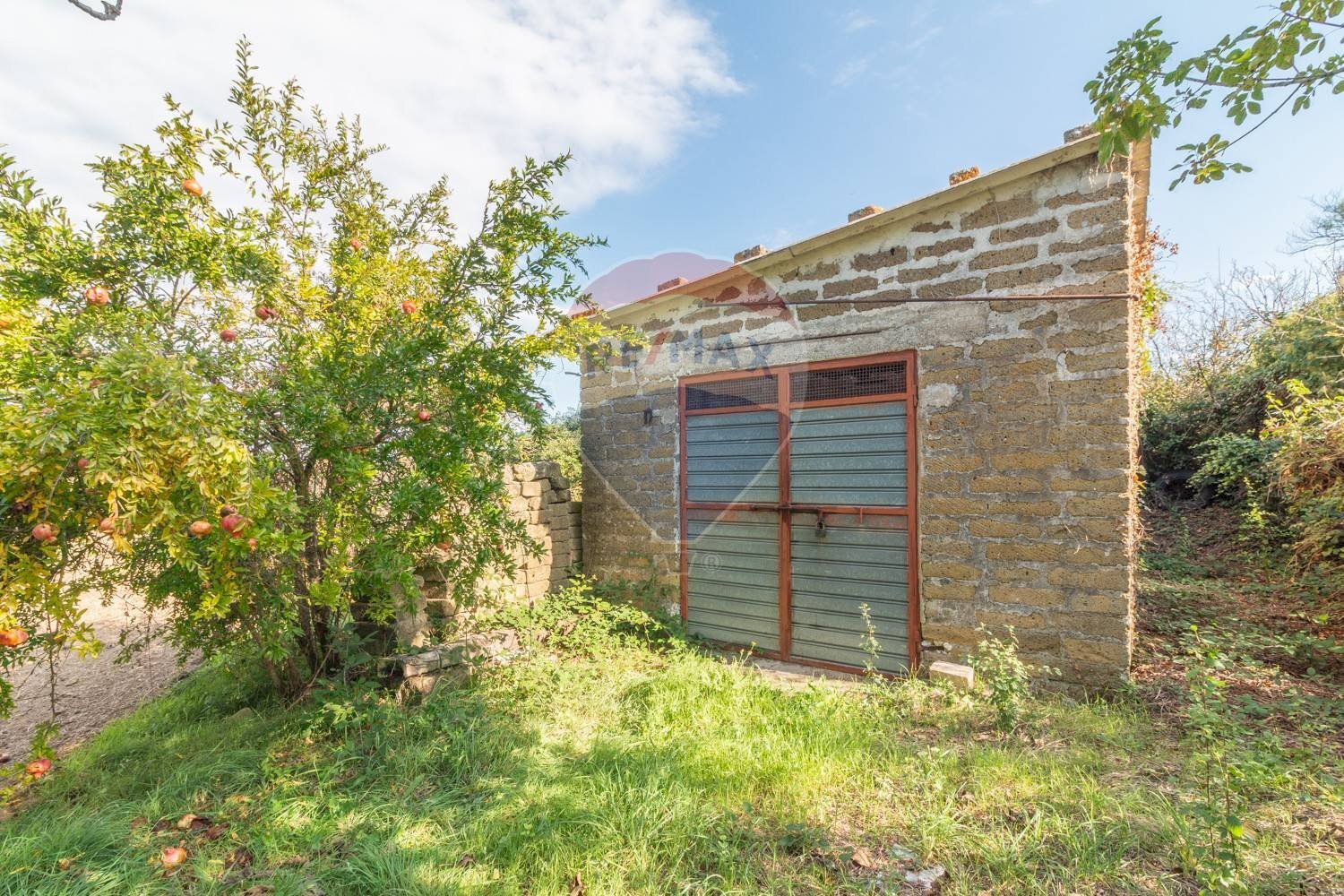 Casa all\'aperto - Terreno agricolo Ischia di Castro - foto 1