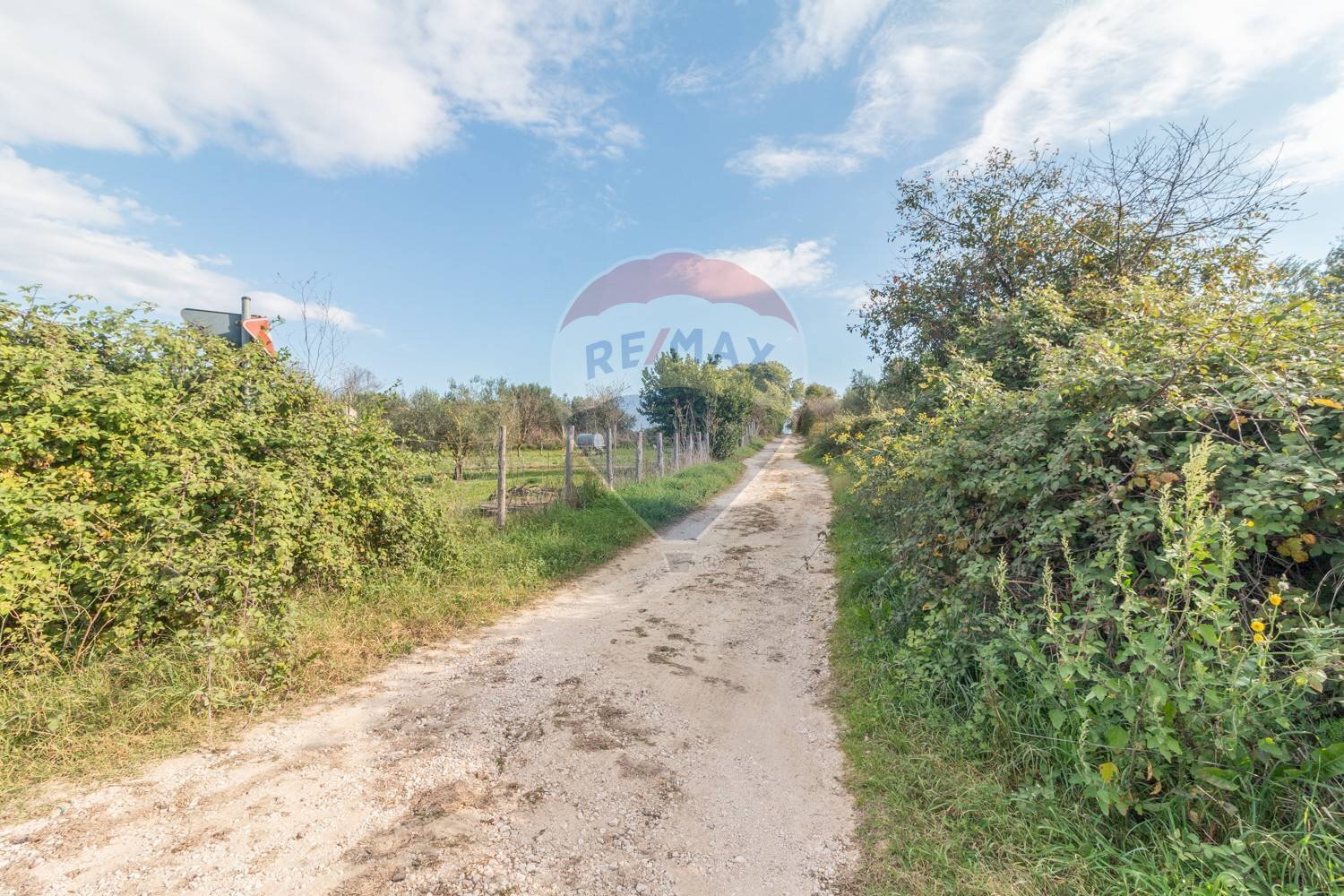 Giardino - Terreno agricolo Ischia di Castro - foto 2