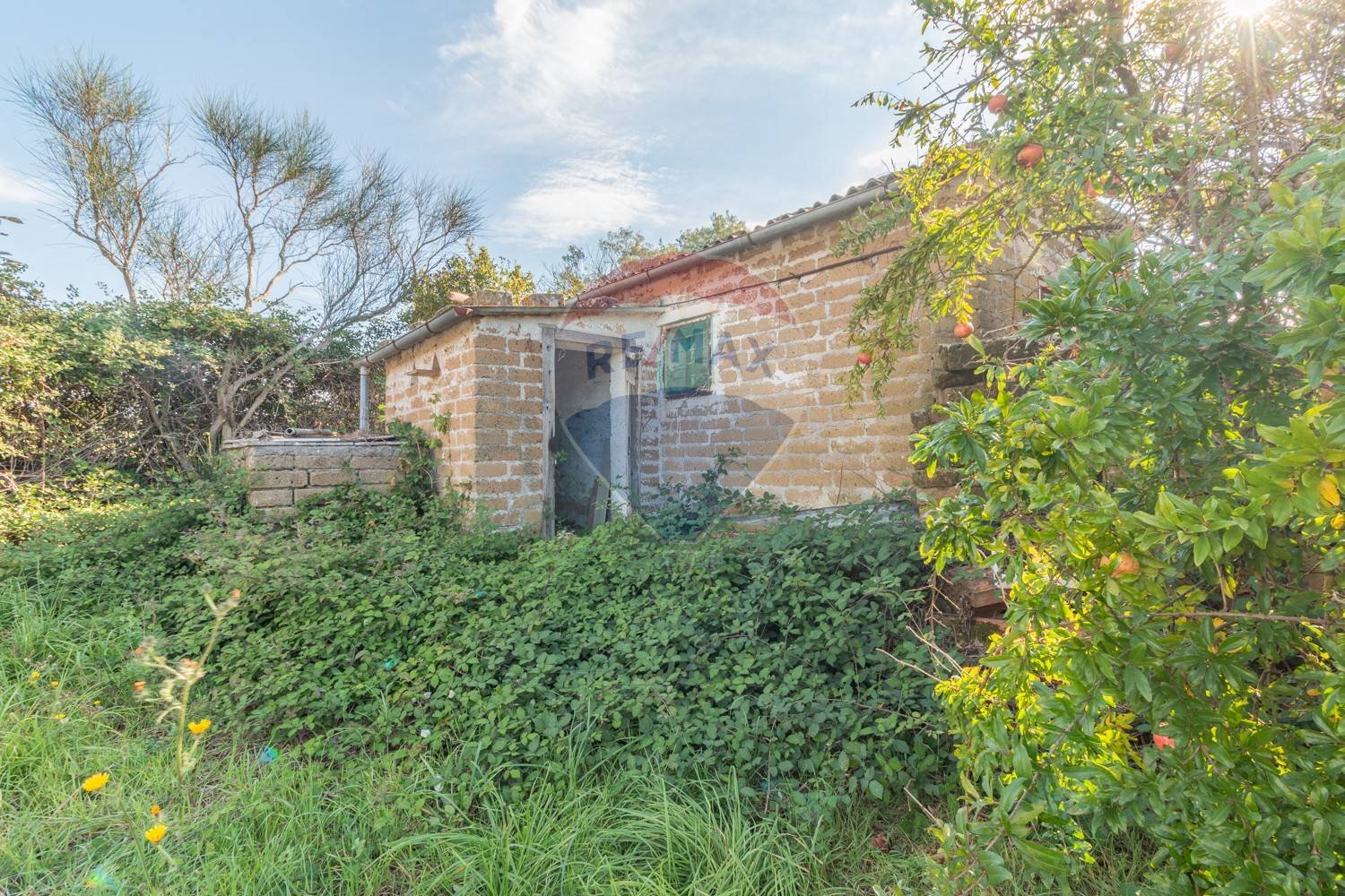Casa all\'aperto - Agricultural land Località Macchia
 
snc, Ischia di Castro - photo 1