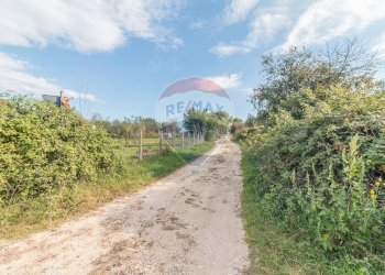 Giardino - Terreno agricolo Ischia di Castro - foto 2