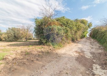 Giardino - Terreno agricolo Ischia di Castro - foto 3