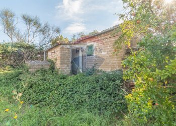 Casa all\'aperto - Terreno agricolo Ischia di Castro - foto 10