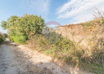 Non correlato - Terreno agricolo Ischia di Castro - foto 14