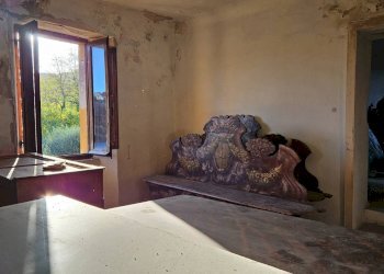 Foto 3 - Semi-detached house Saltara, Colli al Metauro - photo 3