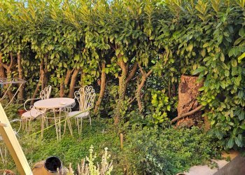 Foto 9 - Semi-detached house Saltara, Colli al Metauro - photo 9