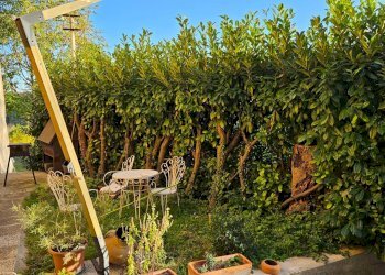 Foto 10 - Semi-detached house Saltara, Colli al Metauro - photo 10