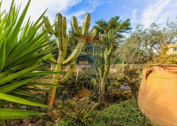 Giardino - Villa Viale della Resistenza
 
28, Alghero - foto 23