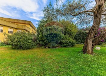 Giardino - Villa Viale della Resistenza
 
28, Alghero - foto 47