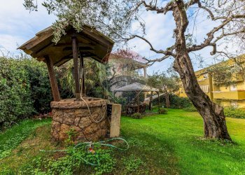 Giardino - Villa Viale della Resistenza
 
28, Alghero - foto 48