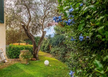 Giardino - Villa Viale della Resistenza
 
28, Alghero - foto 50